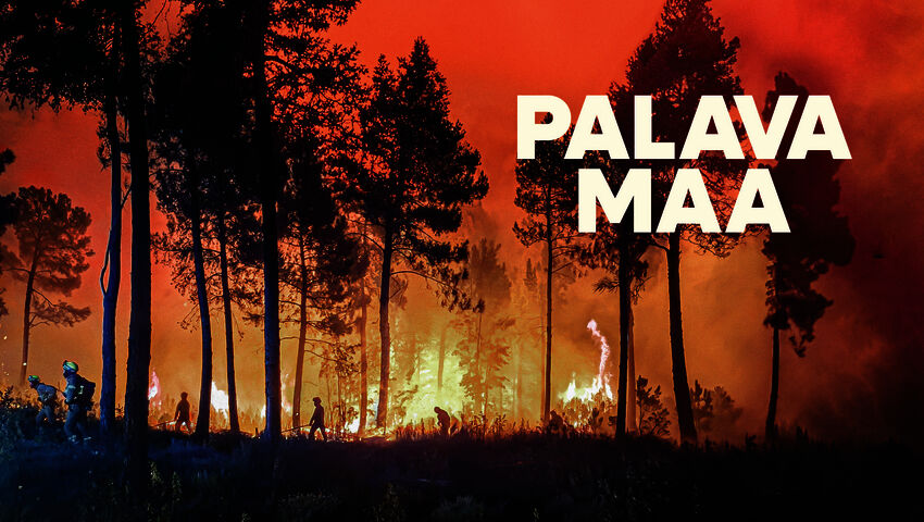 Palava maa
