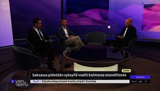 Miten AfD muuttaa Saksan sisäpolitiikkaa?