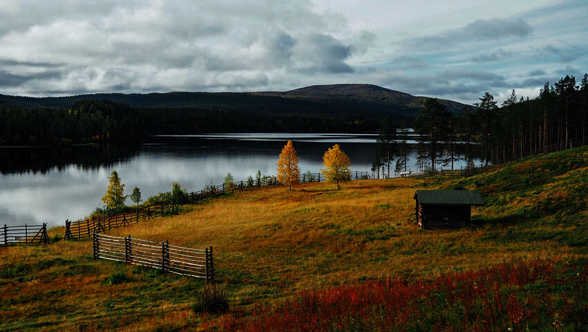 Metsien kätkemä