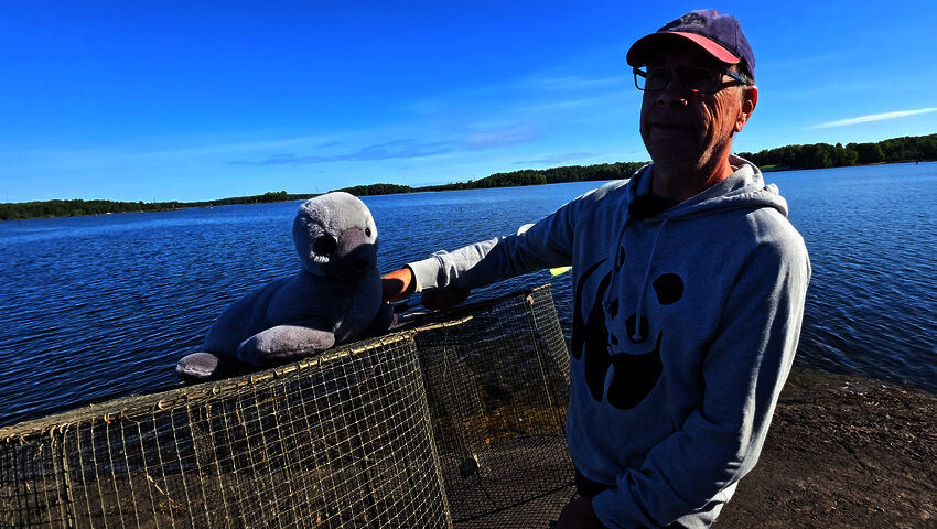Valmiiksi turvallinen katiska
