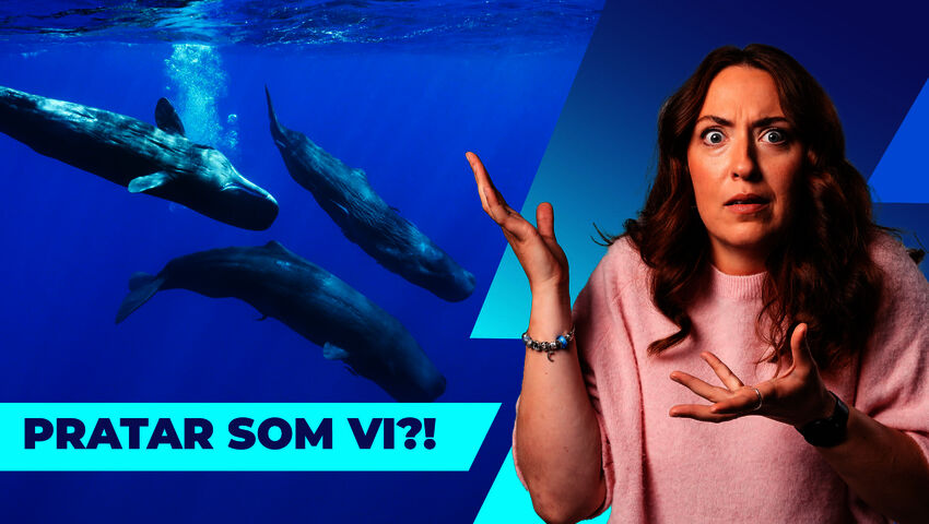 Tech-jättar, frukter och trendigt vatten
