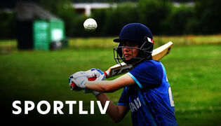 Sportliv