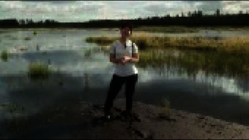 Turpeennostoalueiden metsittäminen herättää vastustusta