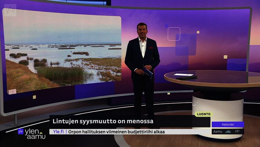 Lintujen syysmuutto on kiivaimmillaan