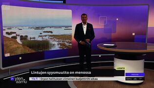 Lintujen syysmuutto on kiivaimmillaan