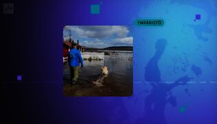 Yle Uutiset 7.30