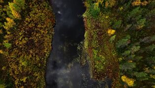 Täällä Moringin uhrin Katja Miinalaisen ruumista etsitään