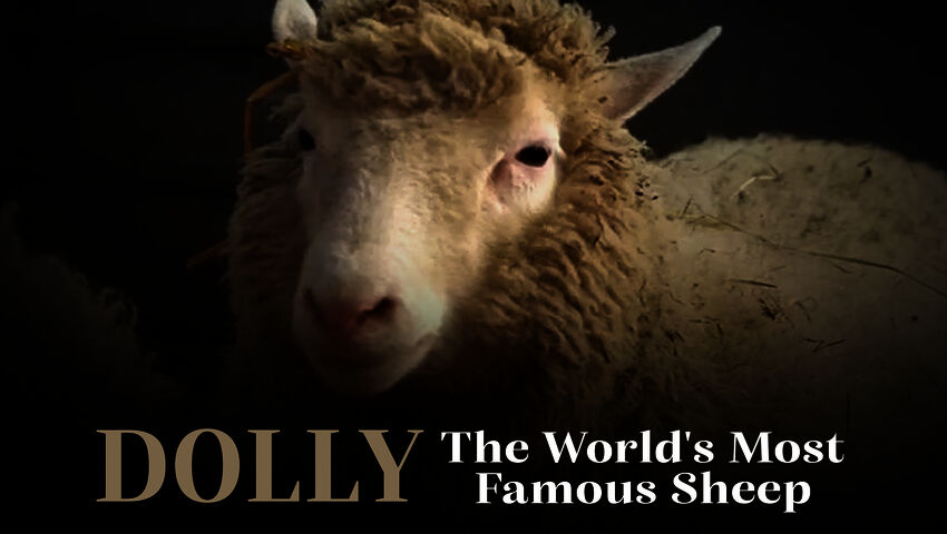 Dolly - maailman kuuluisin lammas