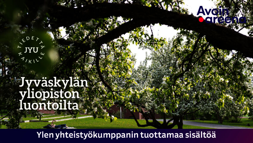 Jyväskylän yliopiston luontoilta
