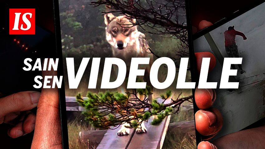IS esittää: Sain sen videolle
