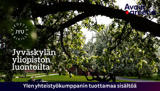 Jyväskylän yliopiston luontoilta