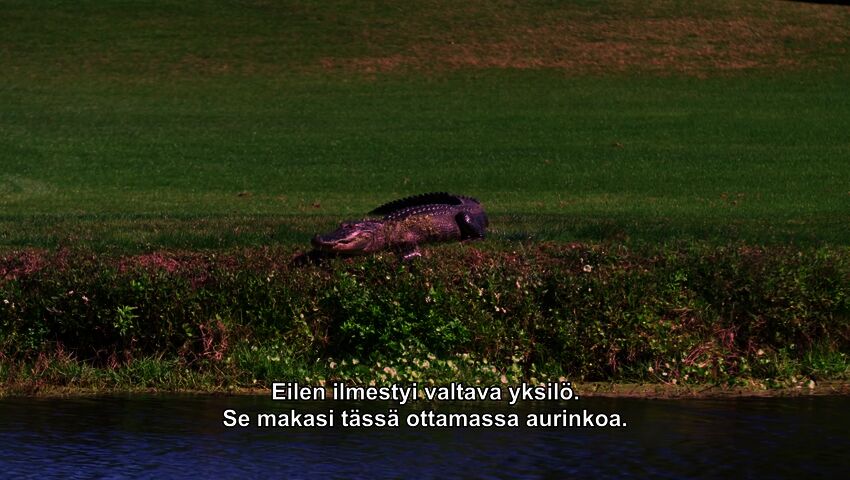 Uusi elämä Floridassa