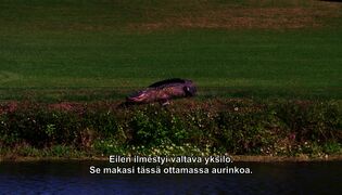 Uusi elämä Floridassa