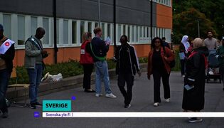 Yle Nyheter TV-nytt 17.55