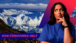 Glaciärerna smälter – vad händer sen?