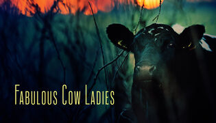 Fabulous Cow Ladies