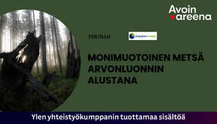 Monimuotoinen metsä arvonluonnin alustana