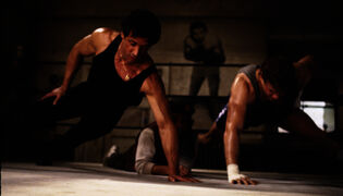 Rocky 5