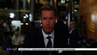 Yle Nyheter TV-nytt 19.30