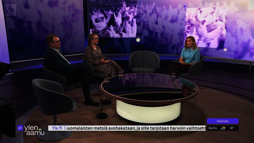 Millaista on suomalainen broilerintuotanto?