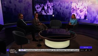 Millaista on suomalainen broilerintuotanto?