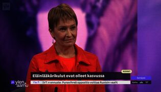 Koirien hyvinvointiin panostetaan yhä enemmän