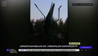 Sammakot ja käärmeet valmistautuvat kylmähorrokseen