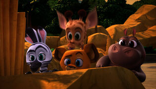 Madagascar: Pikkuvillilä (S)