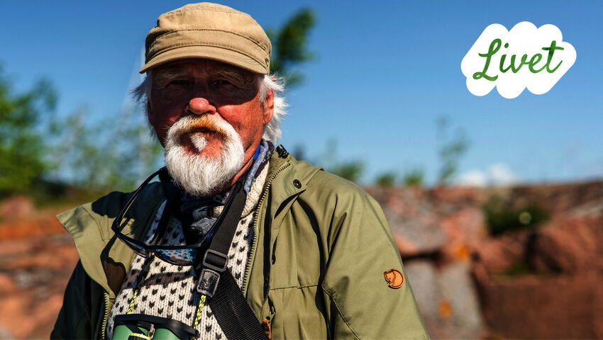 Livet - suomenruotsalaisia tarinoita