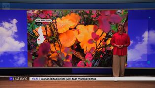 Sääennuste klo 7.40