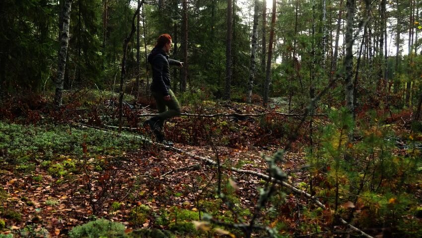 Maahan hautautuneita nahkapaloja on laajalla alueella Auralaisessa metsässä