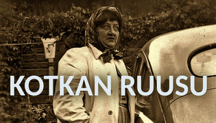 Kotkan Ruusu