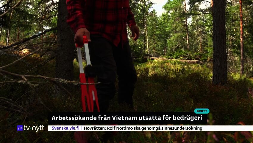 Yle Nyheter TV-nytt 17.55