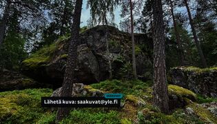 Talitinttejä, ilmastonmuutosta ja utua