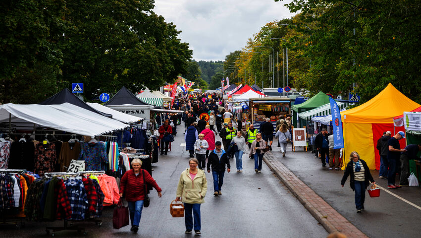 Vimmellive 2026 från Ekenäs höstmarknad - dag 2