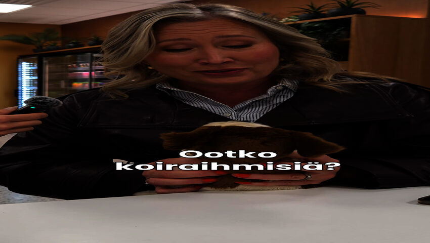 Ootko koiraihmisiä?