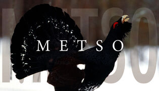 Metso