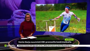 Urheiluruutu