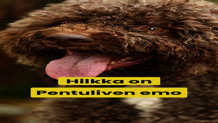 Tässä on Pentuliven emo Hilkka!