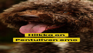 Tässä on Pentuliven emo Hilkka!