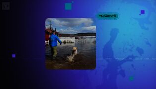 Yle Uutiset 7.30