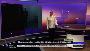Virkakoirien löytämät huumemäärät kasvavat