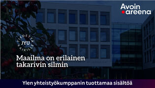 Maailma on erilainen takarivin silmin