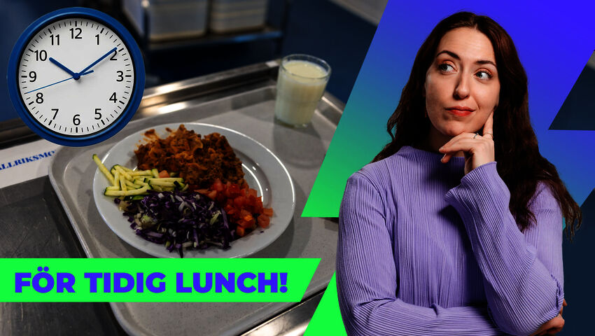 Musikgala, giftspindlar och skollunch