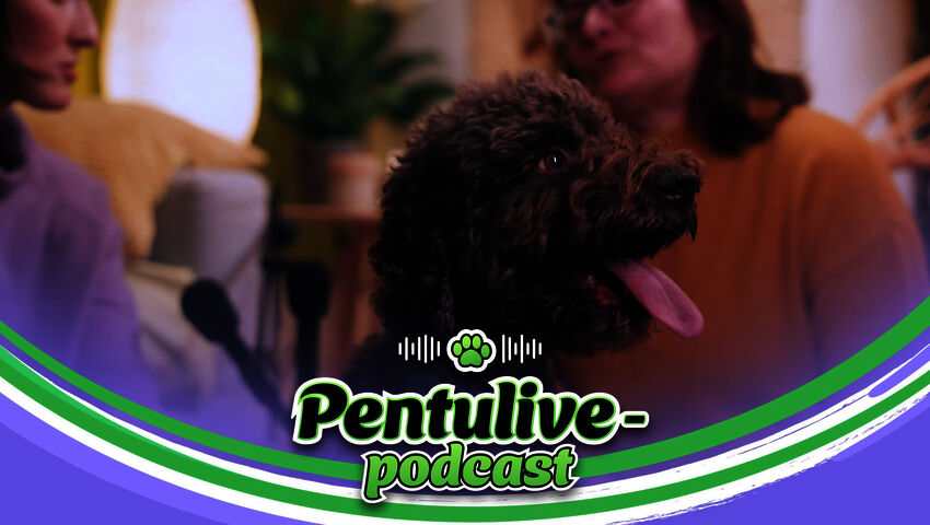Pentulive-podcast