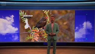 Sääennuste klo 18