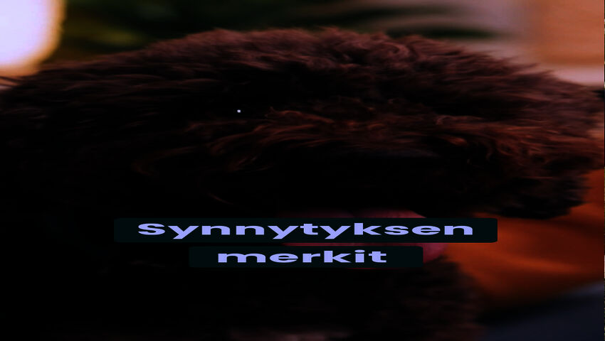 Mistä tietää, että koiran synnytys lähestyy?
