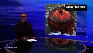Novosti Yle