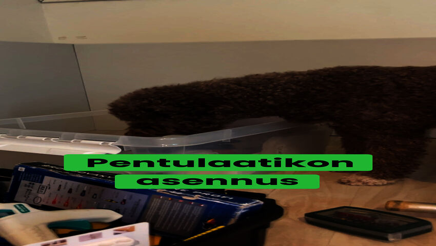 Pentulaatikon asennus