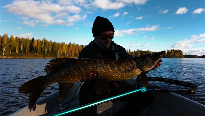 Eränkävijät